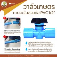 วาล์วเกษตร ทานตะวัน สวมท่อ PVC 1/2" เริ่มต้น 11 บ. ถูกที่สุด - โตไว