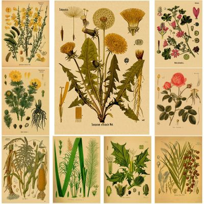 Botanical Flower Poster Medicinal Plants Study Kraft Paper Prints Posters Vintage Home Room Decor Aesthetic Art Wall Paintings Wall Décor