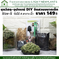 ชุดจัดสวนขวด DIY ชุดวัสดุจัดสวนขวด ราคา 149 บาท