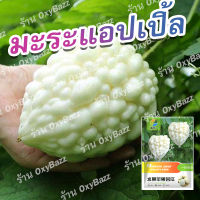 เมล็ดมะระขาวไต้หวัน เมล็ดมะระแอปเปิ้ลขาว 5เมล็ด มะระหัวใจสีขาว Apple White Bitter Gourd Seeds