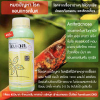 ยารักษาโรค แอนแทรคโนส Anthracnose ใช้ได้กับพืชทุกชนิด (1ลิตร ผสมน้ำได้ 400ลิตร)