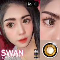 ร้านเลนส์สวยคอนแทคWink Wow รุ่นSwan สีGray เทา / Chestnut น้ำตาล นำเข้าจากเกาหลี มี อย.ไม่มีค่าสายตา(แฟชั่นสุดHit ขายดี)