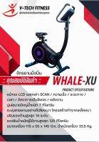 จักยานนั่งปั่น V-TechFitness WHALE-XU