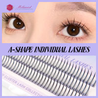 Misslamode A/m Spike Fishtail Lashes Natural DIY Eyelashes Extension ขนตาส่วนบุคคล Cluster Eyelashes For Makeup