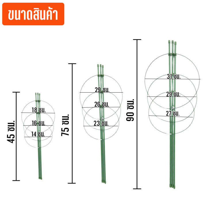 newyorkbigsale-กรงพืชไม้เลื้อย-หลักไม้เลื้อย-หลักล้อม-โครงเถาวัลย์-อุปกรณ์สำหรับพืชไม้เลื้อย-จัดทรงต้นไม้-no-ks165