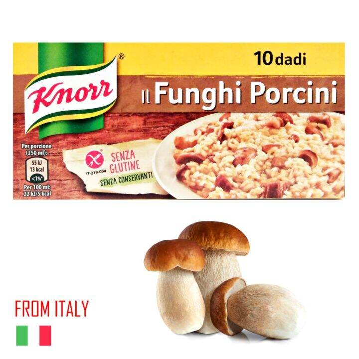 Porcini Mushrooms Bouillon Cubes (10 cubes 100 grams) From Italy