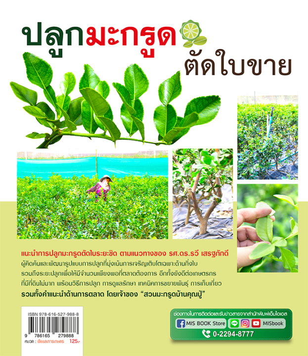 หนังสือ-ปลูกมะกรูดตัดใบขาย