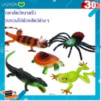 .ของเล่น ถูก ตัวต่อ โมเดล. ANDA TOYS ตุ๊กตา โมเดล โมเดลสัตว์ ตุ๊กตาสัตว์ยาง ตุ๊กตาสัตว์ยางบีบมีเสียง FY-143 [ ของเล่นเสริมทักษะ Kids Toy ].