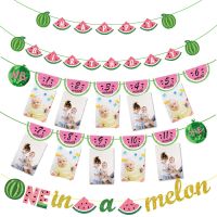 1st Birthday Monthly Banner Watermelon Watermelon Happy Birthday Photo Banner Boy Baby Girls 12 Month Photo Display Party Decor