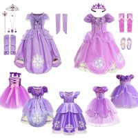 Christmas Girls Sofia Dress Up Fantasy Puff Sleeve Floral Beadings Party Dresses for Girls Sophia Princess Costume Halloween