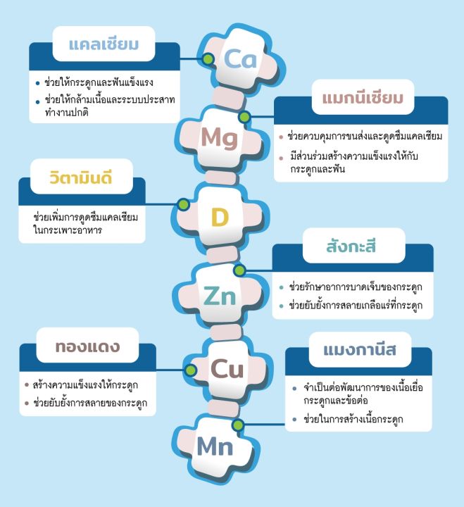 springmate-calcium-600-vitamin-d-60-tablets-x2ขวด-แคลเซียม-600-mg-ผสมวิตามินดี-60-เม็ด-นำเข้าจากusa