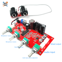 Ziqqucu ดิยมอร์แพนธอนเครื่องคาราโอเกะ PT2399ที่มีเอฟเฟกต์การขยายสัญญาณ Op-Amp บอร์ดไมโครโฟน M65831ซุปเปอร์ NE5532