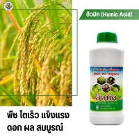 ฮิวมิค (Humic Acid) ธาตุอาหารจากหินภูเขาไฟ พืช โตเร็ว แข็งแรง  ดอก ผล สมบูรณ์