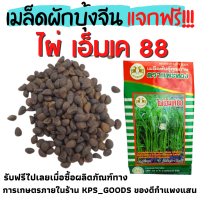 (ของแถมในระบบ กรุณาอย่ากดซื้อ) เมล็ดผักบุ้งจีน 5  กรัม ใบใหญ่ ไผ่เอ็มเค 88 แพะทอง [แจกฟรีสำหรับผู้ที่ซื้อสินค้าทางการเกษตรของทางร้าน]