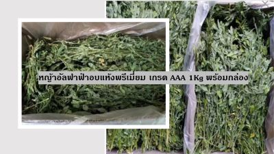 หญ้าอัลฟาฟ่าอบแห้งพรีเมี่ยม เกรด AAA 1Kg พร้อมกล่อง