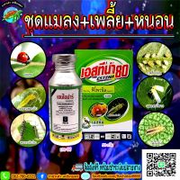 ชุดแมลง+เพลี้ย+หนอน (1 ชุดผสมน้ำได้ 200 ลิตร)  เพลี้ยไฟ เพลี้ยจักจั่น เพลี้ยไก่แจ้ เพลี้ยอ่อน แมลงหวี่ขาว หนอนชอนใบ ราชาเต่าเกษ