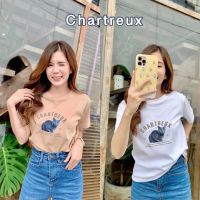 Jarika.shop - เสื้อยืดลายแมว CHARTREUX 1747  ( งานป้าย. Jarika ) ( จ6 )