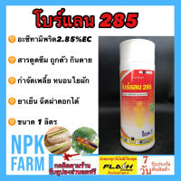 โบร์แลน​ 285​ อะเซทามิพริด​ 2.85% EC​  ขนาด 1​ ลิตร สารดูดซึม ถูกตัวและกินตาย ยาเย็น ฉีดผ่าดอกได้ กำจัด หนอน หนอนใยผัก เพลี้ย ในพืชผัก ผลไม้