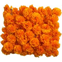 【LZ】∋  Bulk Marigold Flower Heads para Indian Pooja Bush Floral para Diwali Home Decor Grinalda DIY Artesanato Guirlanda