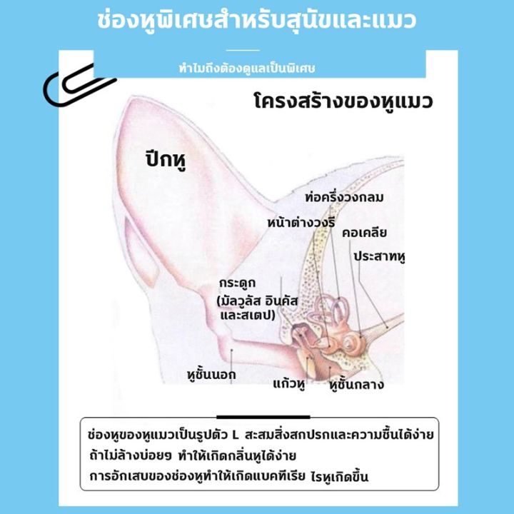 bhq-pet-codยาหยอดหูแมว120ml-ป้องกันไรหูแมว-สุนัข-หมา-หูอักเสบ-ดับกลิ่นหู-น้ำยาเช็ดทำความสะอาดหู-โลชั่นเช็ดหู-แมว-ยาหยอด