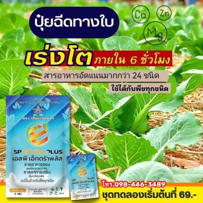 🌿 EXTRA PLUS เเอ็กตร้าพลัส ฮอร์โมนพืช  อาหารเสริมพืช เร่งผลผลิต เร่งใบ เร่งดอก โตไว แข็งแรง ปลอดภัยไร้สารพิษ 6 ซอง (เล็ก)