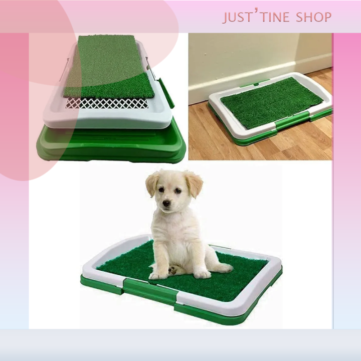 Puppy Potty Pad Perfect Pets Indoor Dog Toilet Training Lazada PH