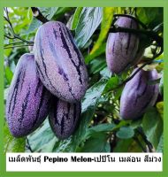 เมล็ด เปปปิโนสีม่วง เมล่อนสีม่วง - Purple Pepino Melon