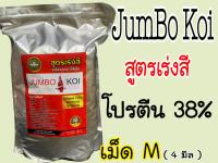 ( เม็ด M ) อาหารปลาคาร์ฟ  จัมโบ้ โค่ย ( Jumbo Koi ) สูตรเร่งสี  ขนาด 3 kg.