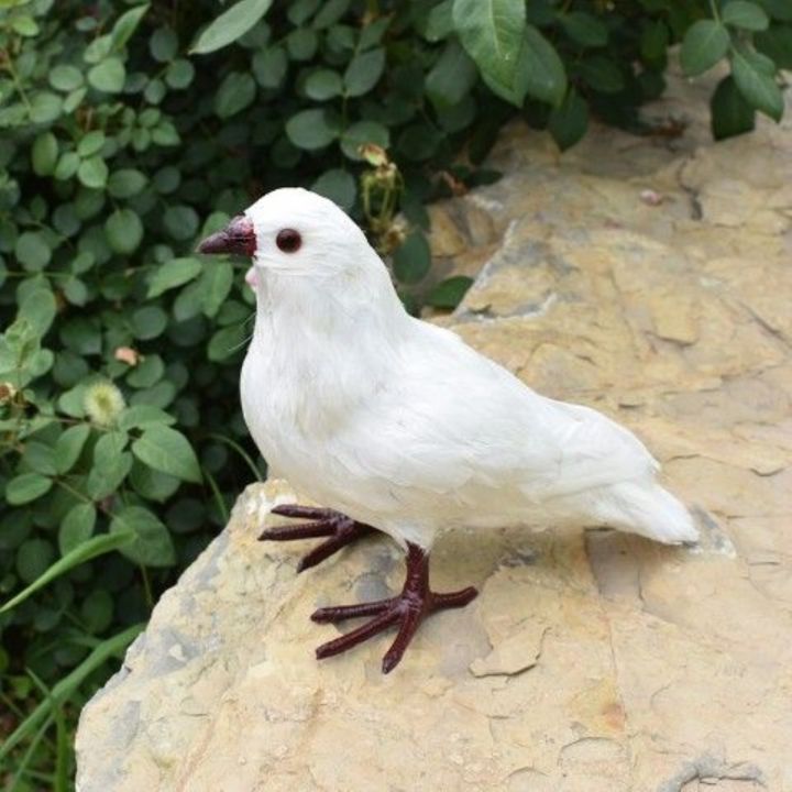 simulation-animal-model-shooting-props-dove-dove-real-feather-wedding-window-decoration-furnishing-articles-false-pigeons