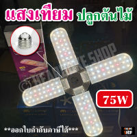 ไฟปลูกต้นไม้ JMF LED Grow Light ไฟใบพัด 200W, 165W, 75W ไฟต้นไม้+แถมขั้วสาย 4ม. **สายเขียวห้ามพลาด**