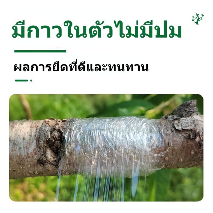 ewyn-120m-เทปพันกิ่งไม้-เทปพันกิ่งทาบ-แลปพลาสติก-อุปกรณ์ตอนกิ่ง-เทปพันกิ่งเสียบยอด-เทปติดตาต้นไม้-เทปใสพันกิ่ง-ผ้าเทปพันกิ่ง