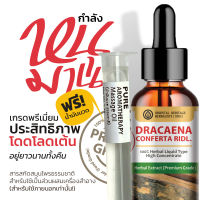 (Dracaena Conferta Ridl) กำลังหนุมาน สารสกัดสมุนไพรธรรมชาติ  ชนิดน้ำ  25 มล.