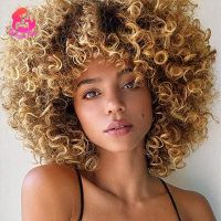 Dream Like Ombre Color Short Curly Synthetic Wigs for Black/white Women Cosplay Party Blonde And Brown Afro Wig With Bang Wig  Hair Extensions Pads