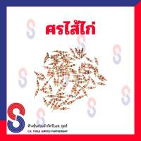 ศร ไส้ไก่ จำนวน 50 ตัว รถยนต์ รถมอเตอร์ไซด์ รถบิ๊กไบด์ ศรไส้ไก่ รถจักรยาน รถบรรทุก รถทุกชนิด