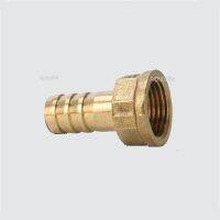 4mm 6mm 8mm 10mm 19mm Brass Hose Fitting Barb Tail BSP Female Thread Copper Connector Joint Coupler Adapter