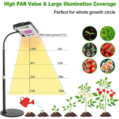 Desk LED Grow Light Stand Phytolamp Full Spectrum Plant Lamp with On/Off Switch Height Adjustable for Indoor Plants Succulent