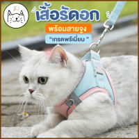 KUMAまเสื้อรัดอก พร้อมสายจูง เสื้อพร้อมสายจูง S/M/L สายจูง สายจูงสัตว์เลี้ยง เสื้อหมา เสื้อแมว สายจูงเสื้อสายจูงหมา สายจูงแมว