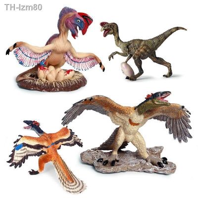 🎁 ของขวัญ วิทยาศาสตร์และการศึกษาจำลองสัตว์ไดโนเสาร์เครื่องประดับพลาสติก Archeopteryx Oviraptor Pachycephalosaurus Dinosaur Toy
