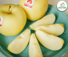 Hcm - 1kg táo vàng kinsei nhật - giao nhanh - ảnh sản phẩm 2