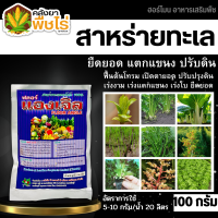 ? ฟลอร์แองเจิล (สาหร่ายทะเลสกัด) 100กรัม เร่งราก ยืดยอด แตกแขนง