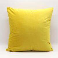 Factory Direct Sales Modern Simple Solid Color Thick Dutch Velvet Sofa Cushion Cover Super Soft Color Candy Pillowcase