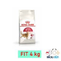 Canin Fit ขนาด 4 กิโลกรัม โรยัลคานิน อาหารแมว สำหรับแมวโตอายุ 1 ปีขึ้นไป