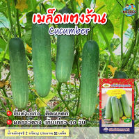 เมล็ดแตงร้าน Cucumber  เมล็ดพันธุ์แตงร้าน แตงร้าน ผักสวนครัว เมล็ดพันธุ์ผัก ตราภูเขาทอง