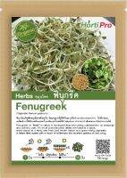 เมล็ดสมุนไพร ฟีนูกรีค Fenugreek บรรจุ 10 g.