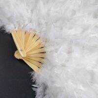 New Style Turkey Feather Fan Multicolor Natural Turkey Feather Fold Fan For Party Stage The Dancer Holds A Fan Decoation