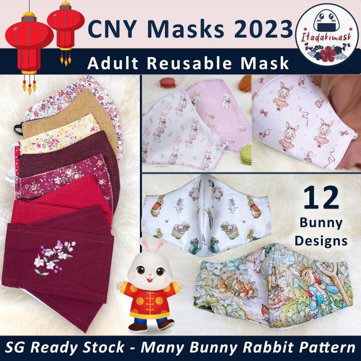 chinese new year masks purpose