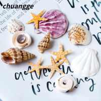 ปลาดาวธรรมชาติ Conch Shell DIY น้ำมันหอมระเหยขี้ผึ้งยี่ห้อทำตกแต่ง Handmade Jelly Wax Ocean Candle Make