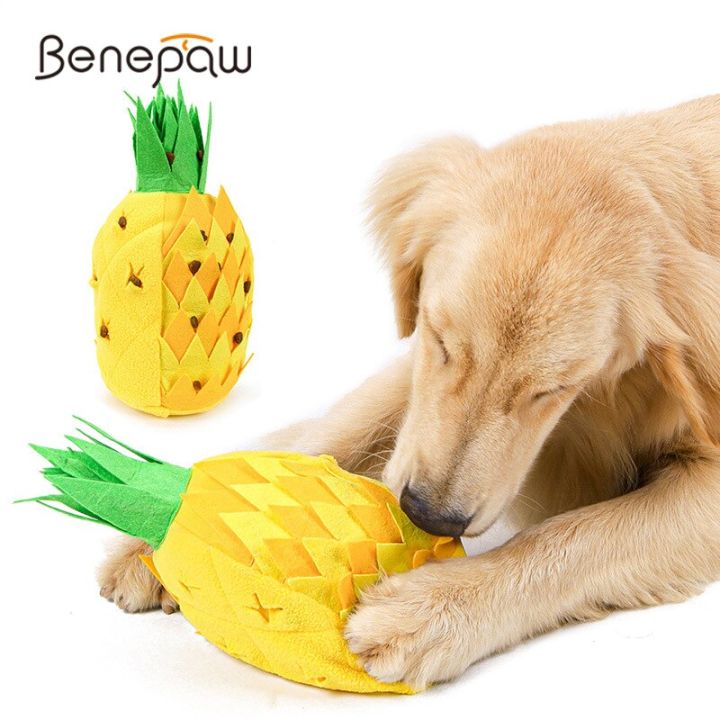 Benepaw Dog Chew Toys Treat Dispensing Dog Toys Nontoxic Pet