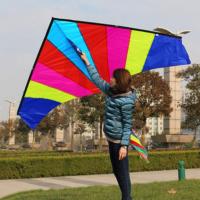 【cw】Colorful Delta Kite with Tail Easy Triangle Kite with String Giant for Trips