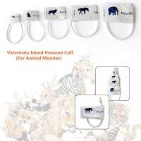 ↂ✙✣ Veterinary blood Pressure Cuff Patient Monitor Vet Pets Sphygmomanometer Cuff for Elephant Horse Dog Cat Mouse Small Animal Cuff